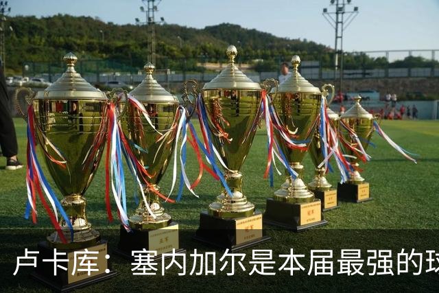 卢卡库：塞内加尔是本届最强的球队之一 本想主罚点球但没准备好